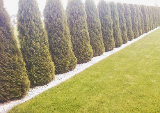 Opieka nad ogrodem-renowacja istniejących ogrodów-całe woj.podlas